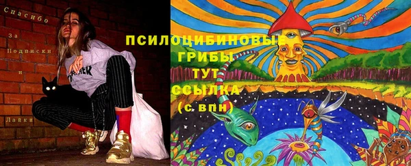 мяу мяу мука Алексин