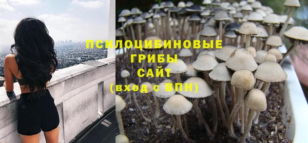тгк Абаза